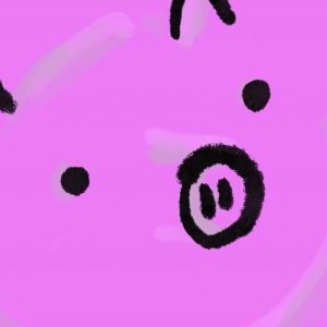 Pig Print - Close Up Minimal